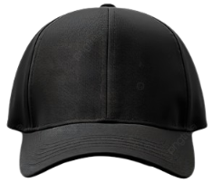 Hats1 - representative image